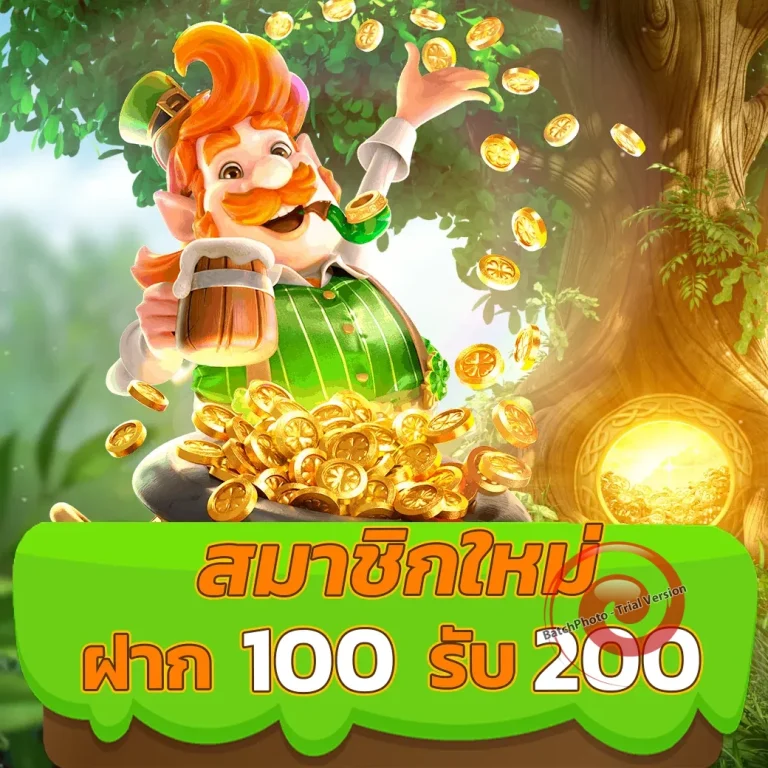 dm88 ทางเข้า